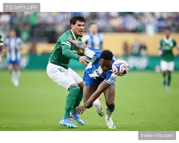 巴甲联赛冠军之争悬念再起 帕尔梅拉斯紧追不舍